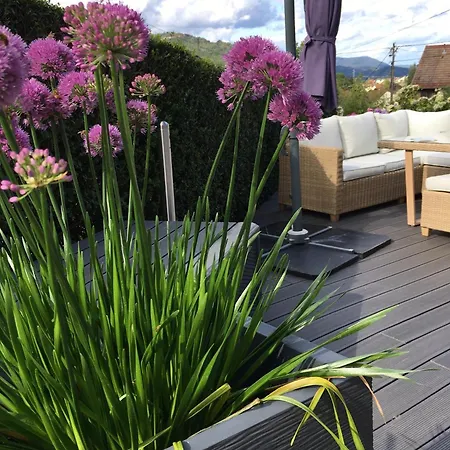 Apartment Les Magnolias En Alsace - Meuble De Tourisme 3 Etoiles Barembach