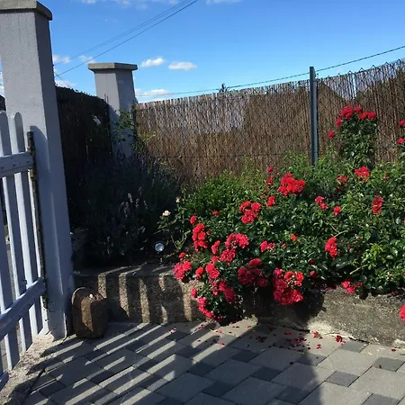 Apartment Les Magnolias En Alsace - Meuble De Tourisme 3 Etoiles Barembach