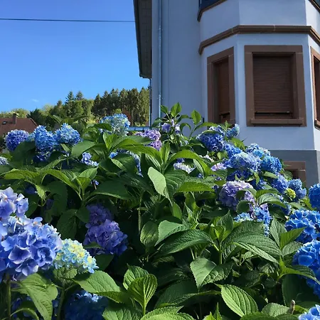 Les Magnolias En Alsace - Meuble De Tourisme 3 Etoiles Apartment