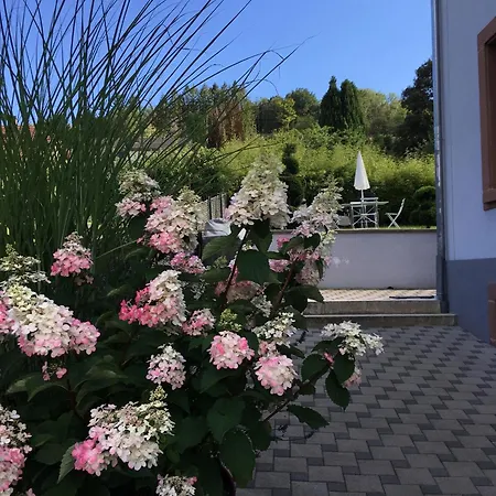 Les Magnolias En Alsace - Meuble De Tourisme 3 Etoiles Apartment *
