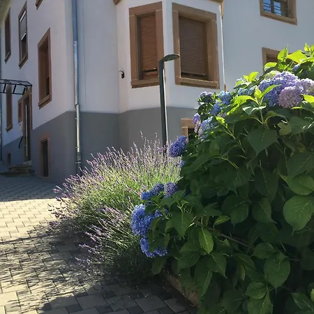 Apartment Les Magnolias En Alsace - Meuble De Tourisme 3 Etoiles