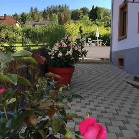 Les Magnolias En Alsace - Meuble De Tourisme 3 Etoiles Barembach