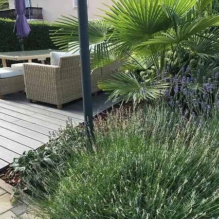 Les Magnolias En Alsace - Meuble De Tourisme 3 Etoiles Apartment Barembach