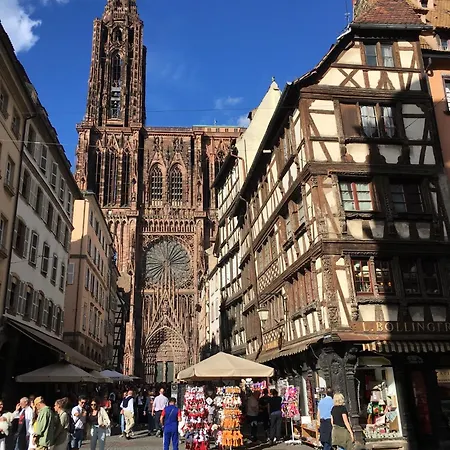 Les Magnolias En Alsace - Meuble De Tourisme 3 Etoiles Apartment