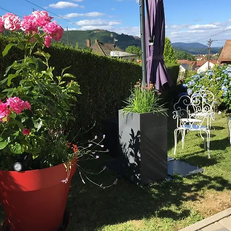 Les Magnolias En Alsace - Meuble De Tourisme 3 Etoiles Apartment